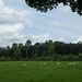 2012-08-04 Onkerzele 051