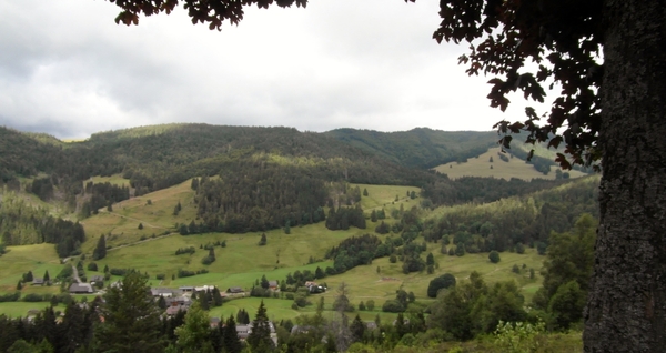 SAM_0087