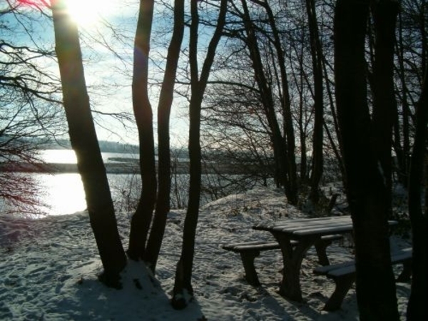 picnickplaats bij de Maas