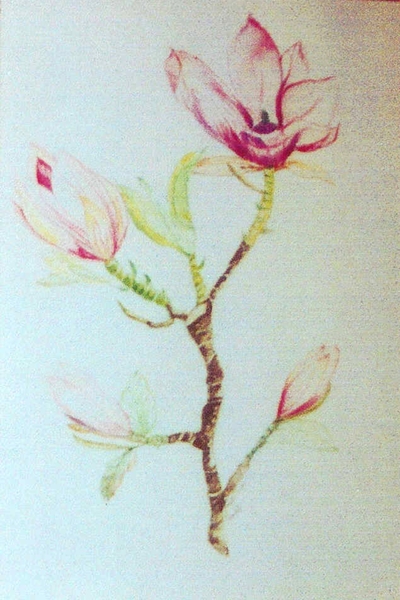 bloemen