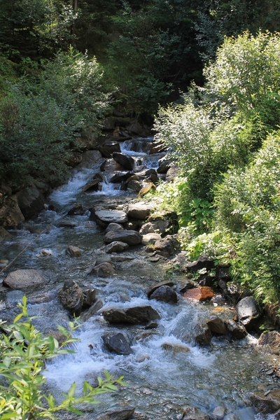 IMG_2063