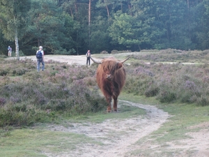 Kempische wandelage, 3,4 en 5 aug. 2012 in Geldrop. 013