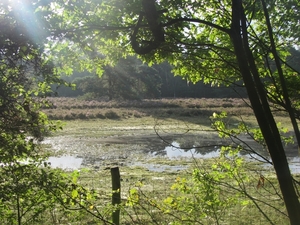 Kempische wandelage, 3,4 en 5 aug. 2012 in Geldrop. 018