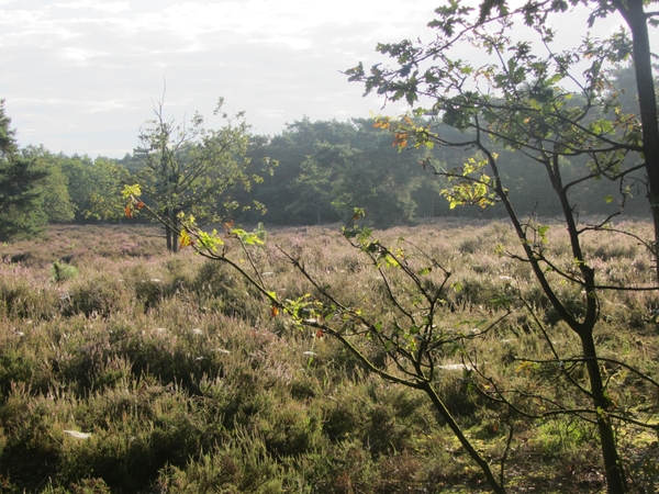 Kempische wandelage, 3,4 en 5 aug. 2012 in Geldrop. 021