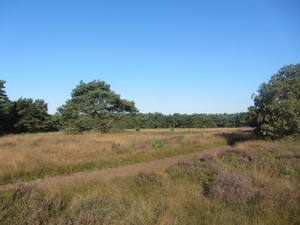 Kempische wandelage, 3,4 en 5 aug. 2012 in Geldrop. 031