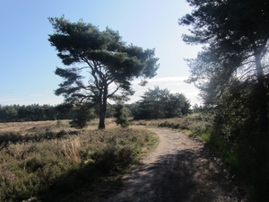 Kempische wandelage, 3,4 en 5 aug. 2012 in Geldrop. 032