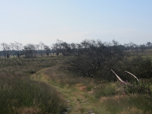 Kempische wandelage, 3,4 en 5 aug. 2012 in Geldrop. 038