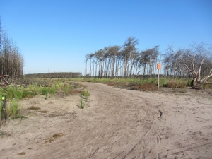 Kempische wandelage, 3,4 en 5 aug. 2012 in Geldrop. 044