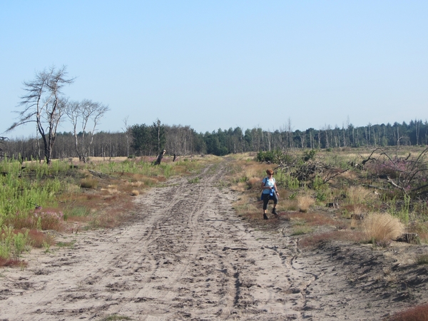 Kempische wandelage, 3,4 en 5 aug. 2012 in Geldrop. 046