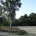 Geldrop 03-08-2012 011