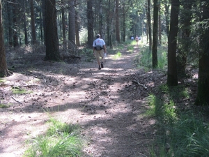 Kempische wandelage, 3,4 en 5 aug. 2012 in Geldrop. 049