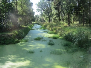 Kempische wandelage, 3,4 en 5 aug. 2012 in Geldrop. 057