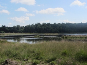 Kempische wandelage, 3,4 en 5 aug. 2012 in Geldrop. 060