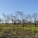 Geldrop 03-08-2012 037