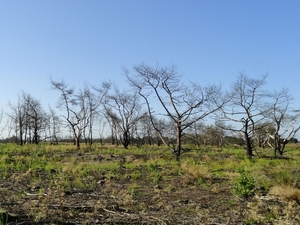Geldrop 03-08-2012 037