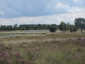 Kempische wandelage, 3,4 en 5 aug. 2012 in Geldrop. 067