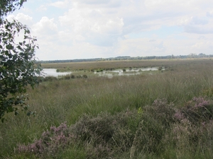 Kempische wandelage, 3,4 en 5 aug. 2012 in Geldrop. 078