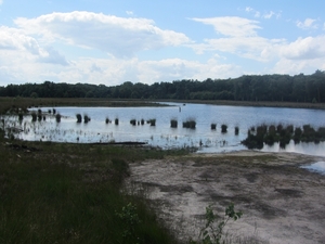 Kempische wandelage, 3,4 en 5 aug. 2012 in Geldrop. 087