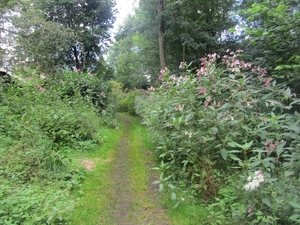 Kempische wandelage, 3,4 en 5 aug. 2012 in Geldrop. 095