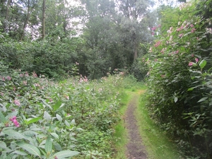 Kempische wandelage, 3,4 en 5 aug. 2012 in Geldrop. 096