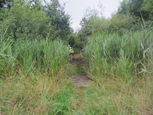 Kempische wandelage, 3,4 en 5 aug. 2012 in Geldrop. 118