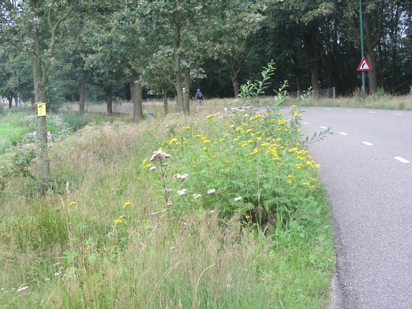 Kempische wandelage, 3,4 en 5 aug. 2012 in Geldrop. 123