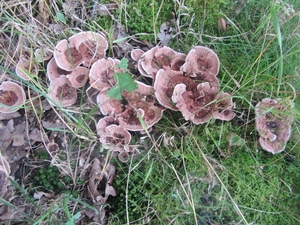 Kempische wandelage, 3,4 en 5 aug. 2012 in Geldrop. 125