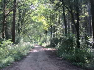 Kempische wandelage, 3,4 en 5 aug. 2012 in Geldrop. 137