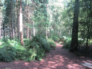 Kempische wandelage, 3,4 en 5 aug. 2012 in Geldrop. 141