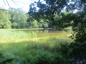 Kempische wandelage, 3,4 en 5 aug. 2012 in Geldrop. 142