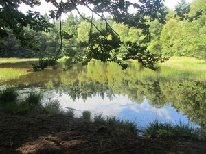 Kempische wandelage, 3,4 en 5 aug. 2012 in Geldrop. 147