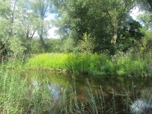 Kempische wandelage, 3,4 en 5 aug. 2012 in Geldrop. 173