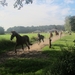 Kempische wandelage, 3,4 en 5 aug. 2012 in Geldrop. 197