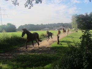 Kempische wandelage, 3,4 en 5 aug. 2012 in Geldrop. 197