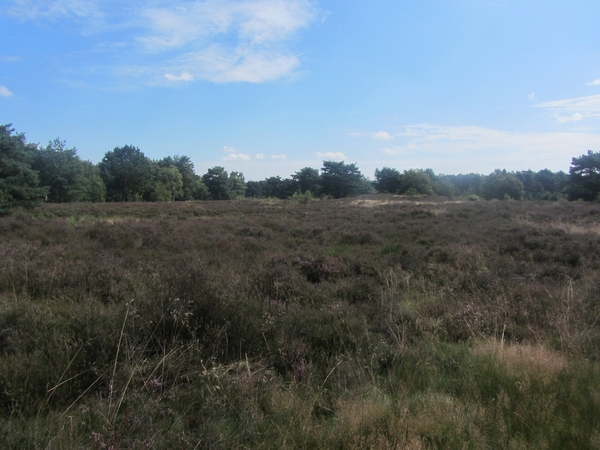 Kempische wandelage, 3,4 en 5 aug. 2012 in Geldrop. 205