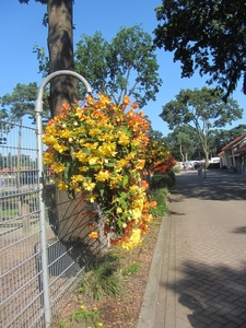 Kempische wandelage, 3,4 en 5 aug. 2012 in Geldrop. 050