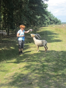 Kempische wandelage, 3,4 en 5 aug. 2012 in Geldrop. 070