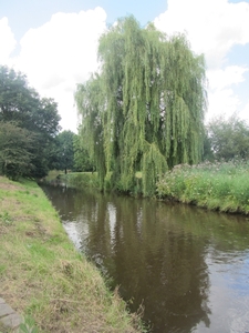 Kempische wandelage, 3,4 en 5 aug. 2012 in Geldrop. 101