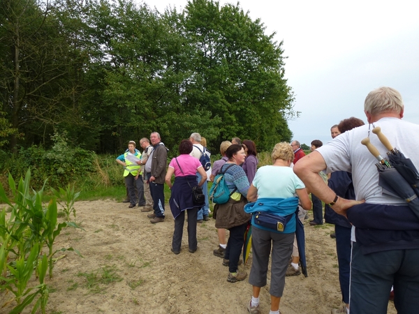 2012-08-07 Meldert 004