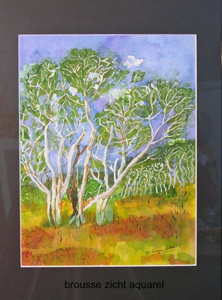 aquarel