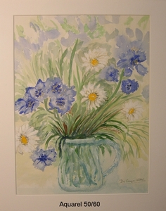 Margrieten & korenbloem