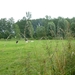 2012-08-08 Strijpen 008