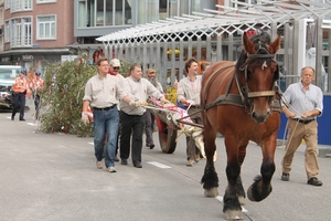 Meyboom Leuven 2012 029