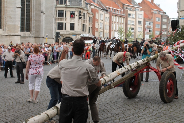 Meyboom Leuven 2012 038