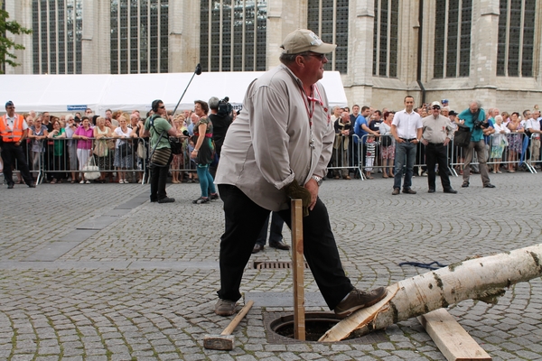Meyboom Leuven 2012 040