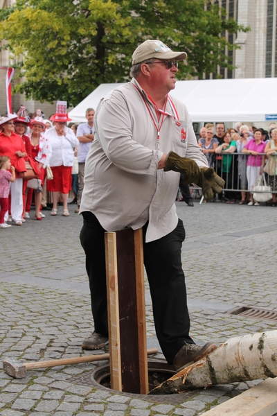 Meyboom Leuven 2012 041