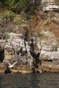 Baai van Napels 2012 013