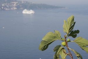 Baai van Napels 2012 193