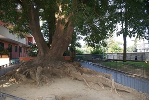 Baai van Napels 2012 345