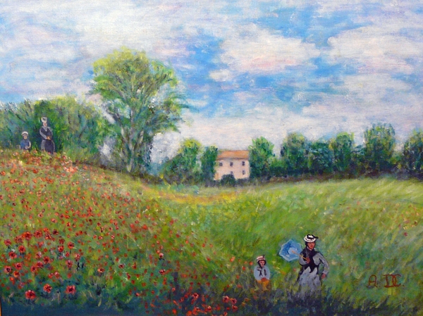 papavers in de provence